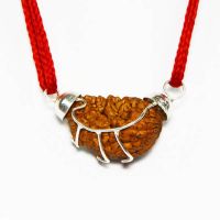 1 Mukhi Rudraksha Pendant