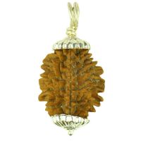 2 Mukhi Rudraksha with Pendant