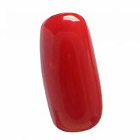 Red Coral - 5.91 Ct.