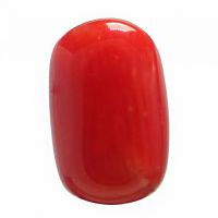 Red Coral - 5.05 Ct.