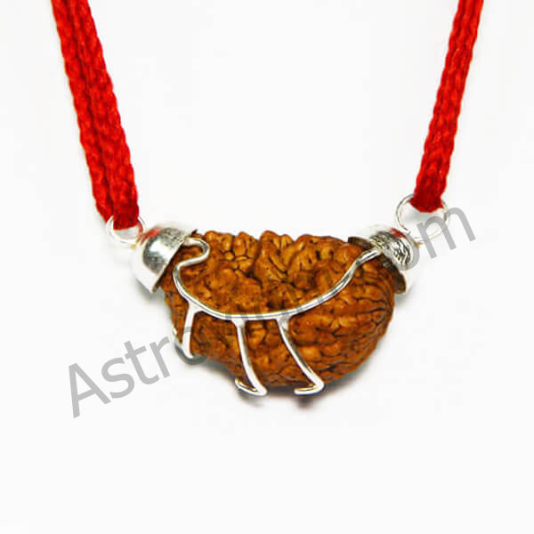 1 Mukhi Rudraksha Pendant