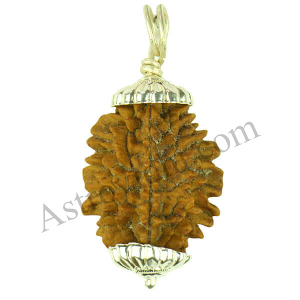 2 Mukhi Rudraksha with Pendant