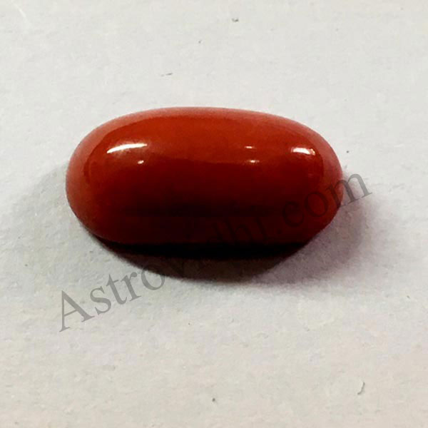 Red Coral - 4.87 Ct