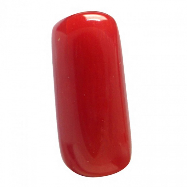 Red Coral - 5.66 Ct.