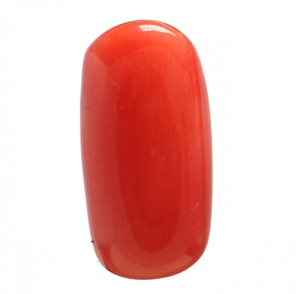 Red Coral - 5.16 Ct