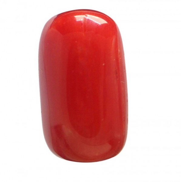 Red Coral - 5.96 Ct.