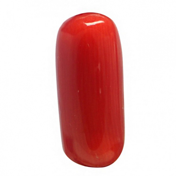 Red Coral - 4.76 Ct. Red Coral - 4.76 Ct.