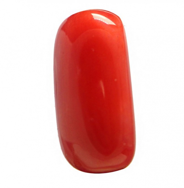Red Coral - 6.16 Ct