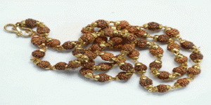 Gold Plated Rudraksha Mala