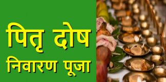 pitra-dosha-puja-importance