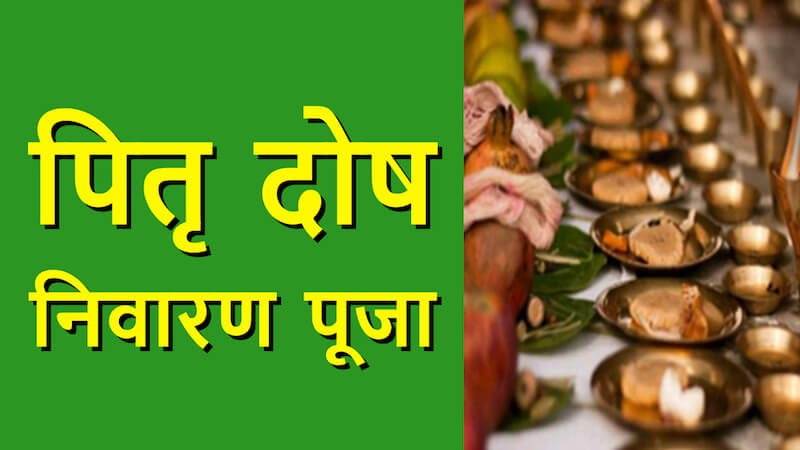 pitra-dosha-puja-importance