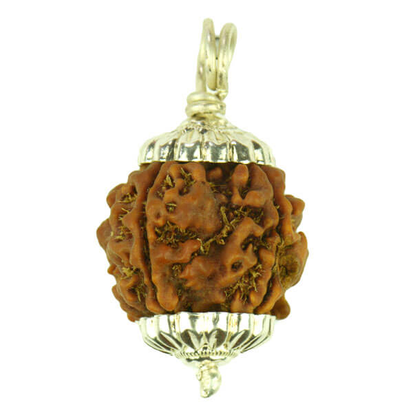 4-Mukhi-Rurdraksha-Pendant