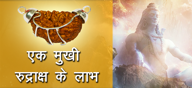 Benefits of 1 Mukhi Rudraksha
