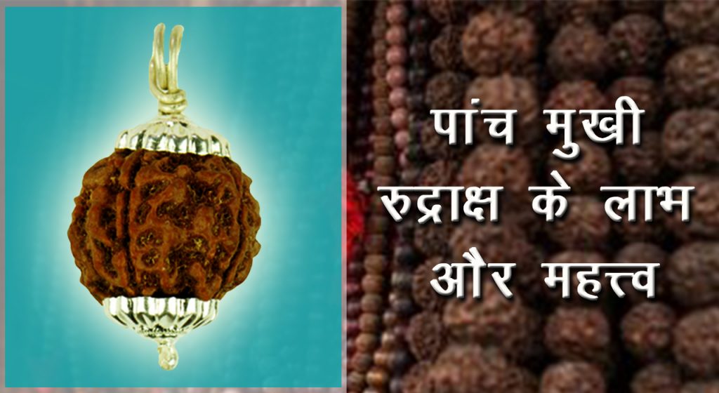 5 Mukhi Rudraksha