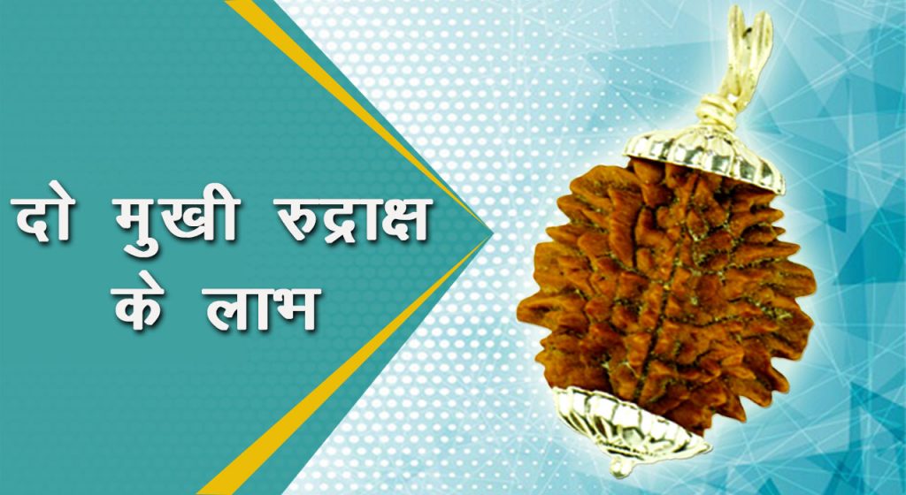 2 mukhi rudraksha ke labh