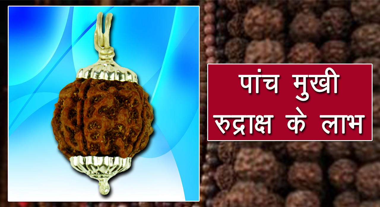 पांच मुखी रुद्राक्ष- छात्रों के लिए किसी वरदान से कम नहीं है - AstroVidhi